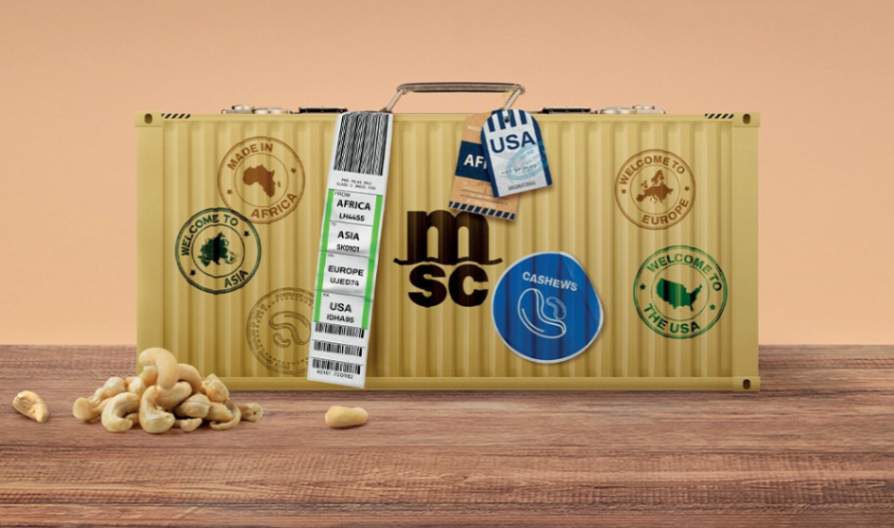 MSC strengthens support for global cashew trade in 2026